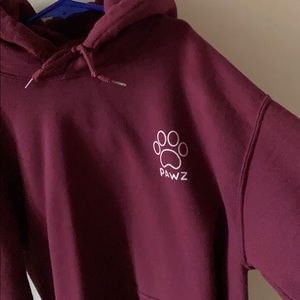 Pawz Hoodie